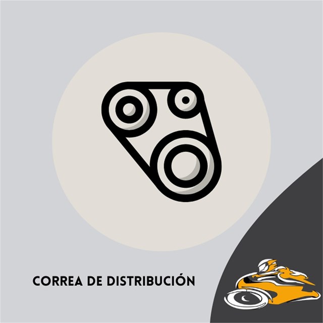 Correa de distribución