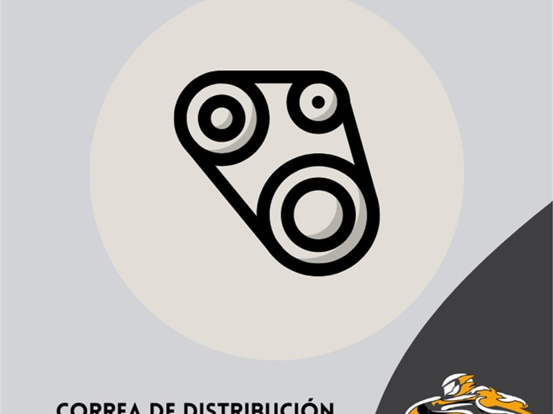 Correa de distribución