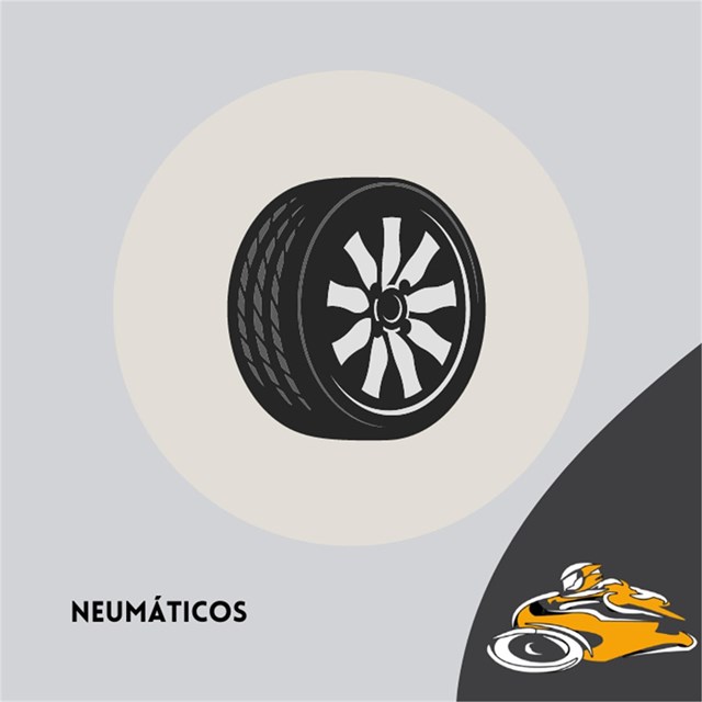 Neumáticos para todo tipo de vehículo