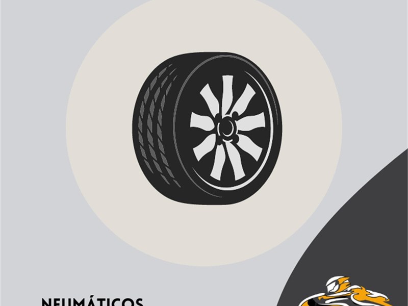Neumáticos para todo tipo de vehículo